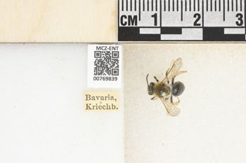 Media type: image;   Entomology 769839 Aspect: Labels